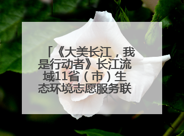 《大美长江，我是行动者》长江流域11省（市）生态环境志愿服务联动活动在江苏南通成功启动
