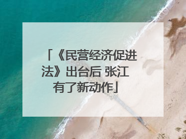 《民营经济促进法》出台后 张江有了新动作
