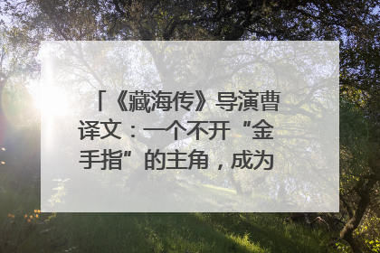 《藏海传》导演曹译文：一个不开“金手指”的主角，成为苍生守护者