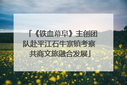 《铁血幕阜》主创团队赴平江石牛寨镇考察 共商文旅融合发展