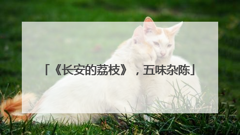 《长安的荔枝》，五味杂陈