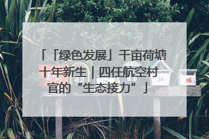 「绿色发展」千亩荷塘 十年新生｜四任航空村官的“生态接力”