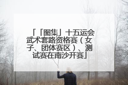 「图集」十五运会武术套路资格赛（女子、团体赛区）、测试赛在南沙开赛