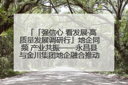 「强信心 看发展·高质量发展调研行」地企同频 产业共振——永昌县与金川集团地企融合推动重大项目建设