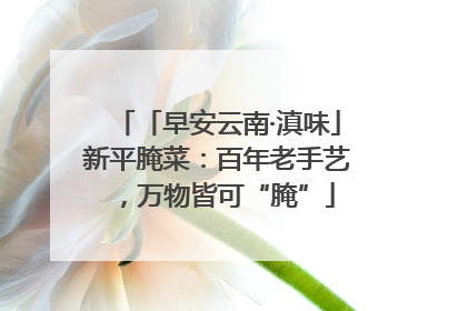 「早安云南·滇味」新平腌菜：百年老手艺，万物皆可“腌”