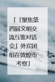 「聚焦第四届文明交流互鉴对话会」外宾团组在敦煌市考察