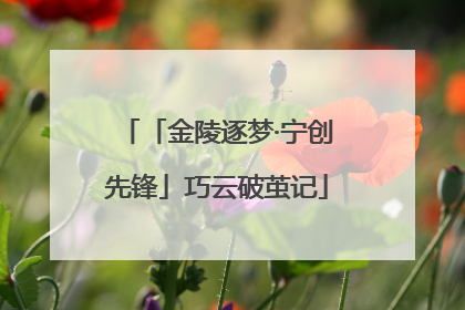 「金陵逐梦·宁创先锋」巧云破茧记