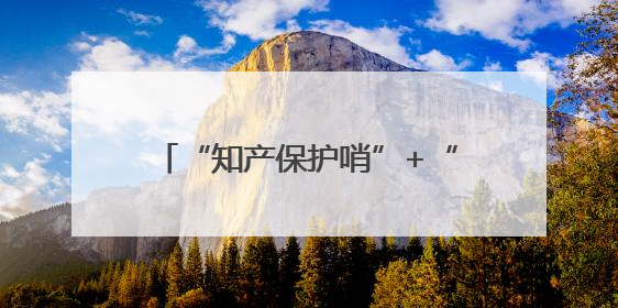“知产保护哨”+“经盾服务站”=？