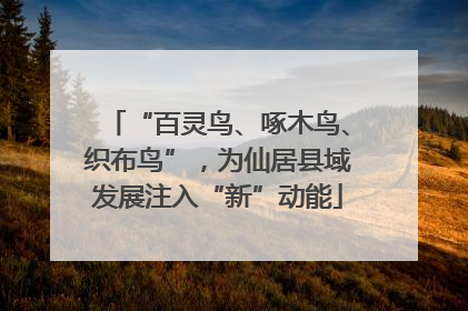 “百灵鸟、啄木鸟、织布鸟”，为仙居县域发展注入“新”动能