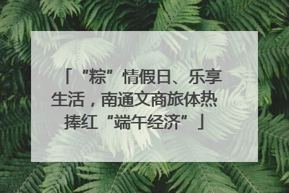 “粽”情假日、乐享生活，南通文商旅体热捧红“端午经济”