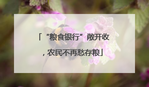 “粮食银行”敞开收，农民不再愁存粮