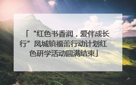 “红色书香润，爱伴成长行”凤城镇福蕾行动计划红色研学活动圆满结束