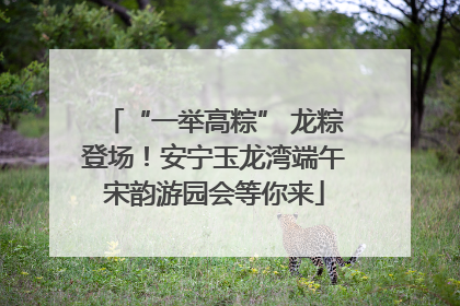 “一举高粽” 龙粽登场！安宁玉龙湾端午宋韵游园会等你来