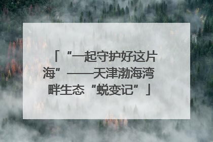 “一起守护好这片海”——天津渤海湾畔生态“蜕变记”