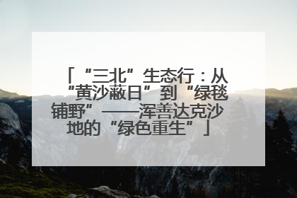 “三北”生态行：从“黄沙蔽日”到“绿毯铺野”——浑善达克沙地的“绿色重生”