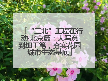 “三北”工程在行动·北京篇：大写意到细工笔，夯实花园城市生态基底