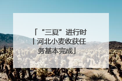 “三夏”进行时丨河北小麦收获任务基本完成