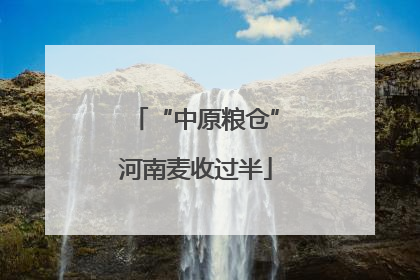 “中原粮仓”河南麦收过半