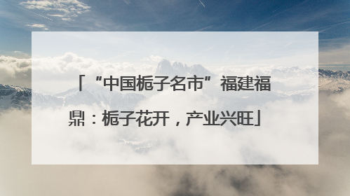 “中国栀子名市”福建福鼎：栀子花开，产业兴旺