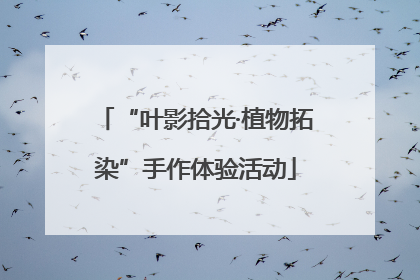 “叶影拾光·植物拓染”手作体验活动