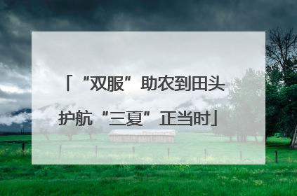 “双服”助农到田头 护航“三夏”正当时