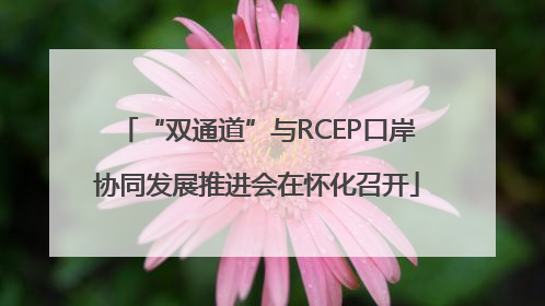 “双通道”与RCEP口岸协同发展推进会在怀化召开