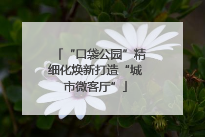 “口袋公园”精细化焕新打造“城市微客厅”