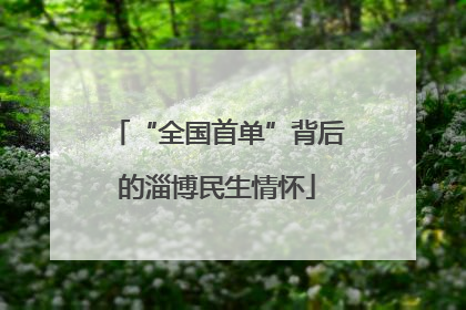 “全国首单”背后的淄博民生情怀