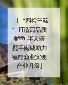 “四检三筛”打造高品质鲈鱼 半天妖携手闽威助力福鼎渔业实现产业升级