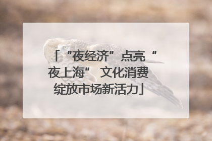 “夜经济”点亮“夜上海” 文化消费绽放市场新活力