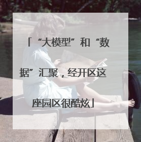 “大模型”和“数据”汇聚，经开区这座园区很酷炫