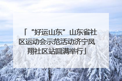 “好运山东”山东省社区运动会示范活动济宁凤翔社区站圆满举行