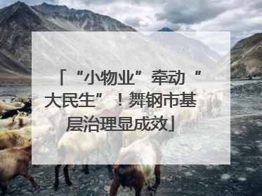 “小物业”牵动“大民生”！舞钢市基层治理显成效