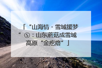 “山海情・雪域援梦”⑤：山东蘑菇成雪域高原“金疙瘩”