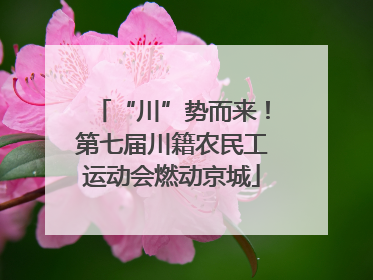 “川”势而来！第七届川籍农民工运动会燃动京城