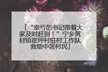 “幸亏彭书记带着大家及时赶到！”宁乡黄材镇崔坪村驻村工作队救助中暑村民