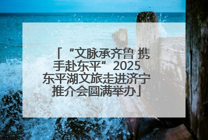 “文脉承齐鲁 携手赴东平”2025东平湖文旅走进济宁推介会圆满举办
