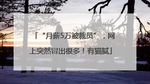 “月薪5万被裁员”，网上突然冒出很多！有猫腻