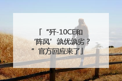 “歼-10CE和‘阵风’孰优孰劣？”官方回应来了