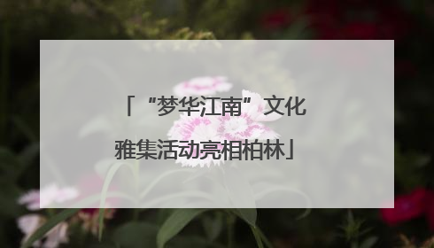 “梦华江南”文化雅集活动亮相柏林