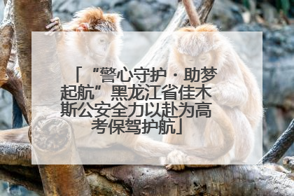 “警心守护・助梦起航”黑龙江省佳木斯公安全力以赴为高考保驾护航