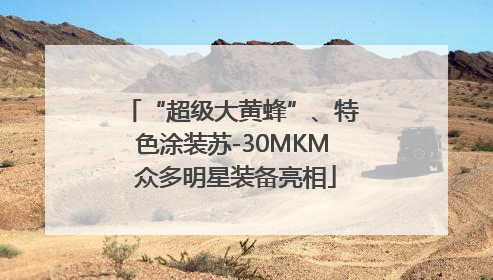 “超级大黄蜂”、特色涂装苏-30MKM 众多明星装备亮相