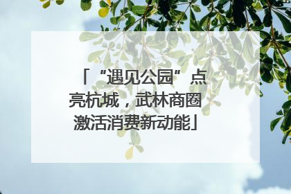 “遇见公园”点亮杭城，武林商圈激活消费新动能