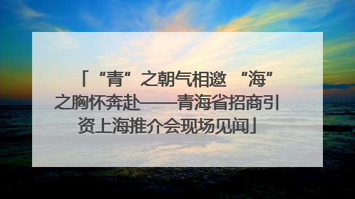 “青”之朝气相邀 “海”之胸怀奔赴——青海省招商引资上海推介会现场见闻