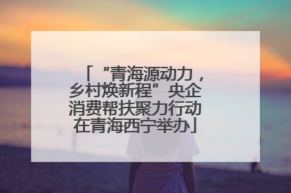 “青海源动力，乡村焕新程”央企消费帮扶聚力行动在青海西宁举办