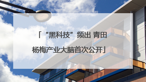 “黑科技”频出 青田杨梅产业大脑首次公开