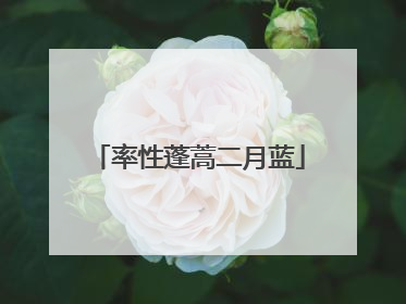 率性蓬蒿二月蓝