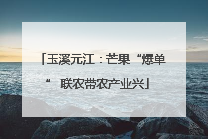 玉溪元江：芒果“爆单” 联农带农产业兴