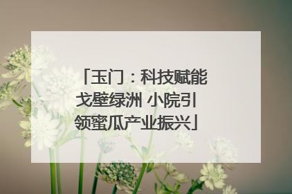 玉门：科技赋能戈壁绿洲 小院引领蜜瓜产业振兴