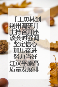 王忠林到荆州调研并主持召开座谈会时强调 坚定信心 加压奋进 努力当好江汉平原高质量发展排头兵